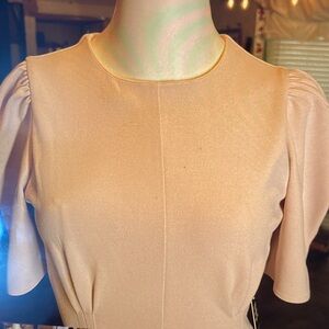 Express Pink Sheath Dress with Puff Sleeves